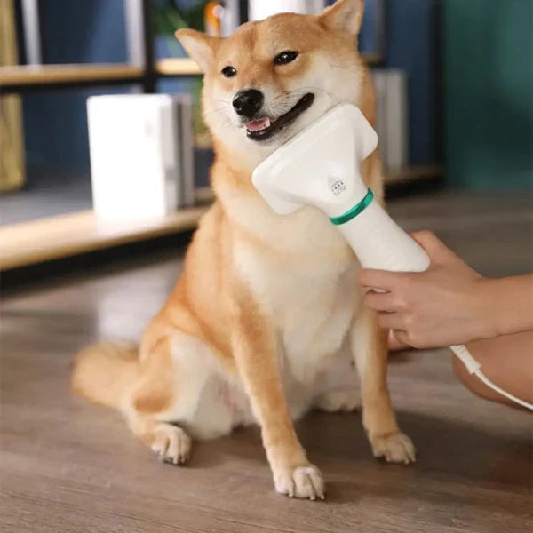 Cepillo Secador Profesional de Mascotas 2 en 1 + Guia Peluqueria